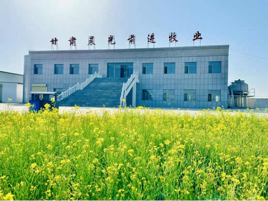 座談交流聽心聲，文化潤心聚合力